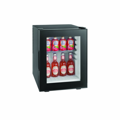 Stark E30VN Minibar Termoelettrico 30 L Dim L 38,5  P 42  H 48,5